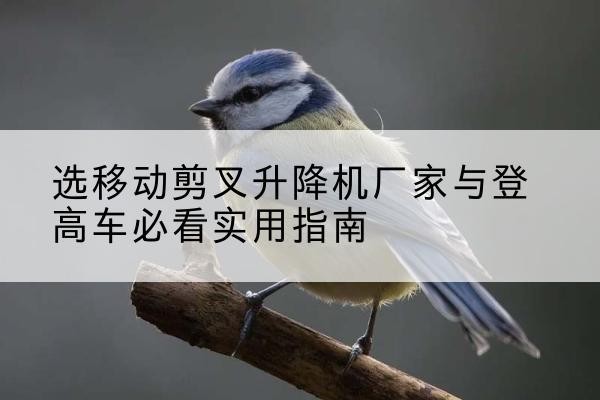 南平电动升降机厂家-选移动剪叉升降机厂家与登高车必看实用指南