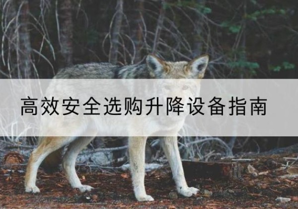 南平升降货梯厂家推荐-*安全选购升降设备指南